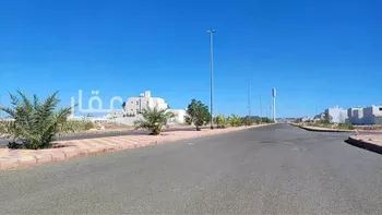 أرض للبيع في شارع يحيىى بن معين ، حي نبلاء ، المدينة المنورة ، منطقة المدينة المنورة