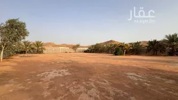 أرض للإيجار في شارع العماريه 595, مدينة العماريه, منطقة الرياض