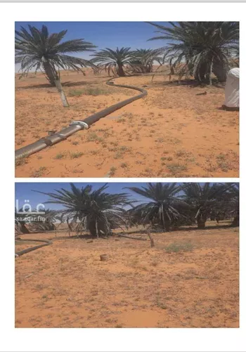 مزرعة للبيع في مدينة حنو الشيحية, منطقة حائل صورة 2