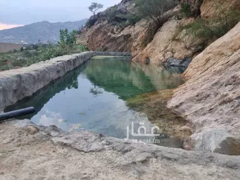 مزرعة للبيع في وادي بقرة العليا ، المجاردة صورة 2