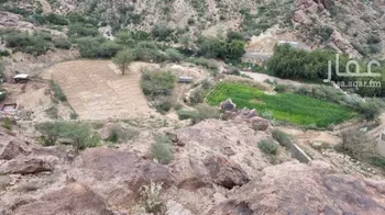 مزرعة للبيع في وادي بقرة العليا ، المجاردة صورة 5