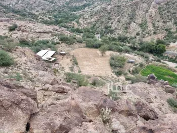 مزرعة للبيع في وادي بقرة العليا ، المجاردة