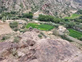 مزرعة للبيع في وادي بقرة العليا ، المجاردة صورة 3