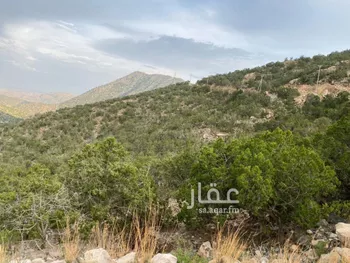 أرض للبيع في حي الشفاء, مدينة امارة منطقة مكة المكرمة - الطائف, منطقة مكة المكرمة صورة 5