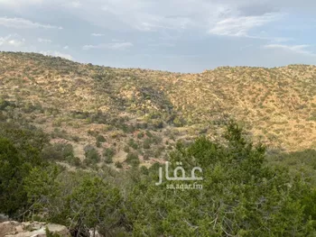 أرض للبيع في حي الشفاء, مدينة امارة منطقة مكة المكرمة - الطائف, منطقة مكة المكرمة صورة 3