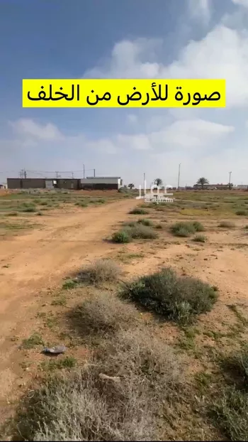 أرض للبيع في شارع 837377, حي ضيده, مدينة ضيده, منطقة القصيم صورة 3