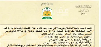 أرض للبيع في مدينة عيون الجواء, منطقة القصيم صورة 4