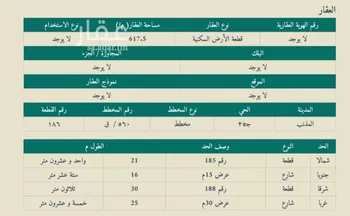 أرض للبيع في شارع داخلي , حي حي ج25, مدينة المذنب, منطقة القصيم صورة 2