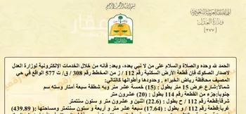 أرض للبيع في مدينة عيون الجواء, منطقة القصيم صورة 3