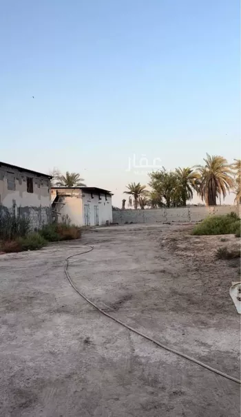 مزرعة للبيع في شارع الخليج العربي, حي منطقة الغويبة الزراعية, مدينة الاحساء, المنطقة الشرقية صورة 4