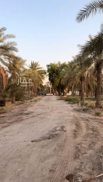 مزرعة للبيع في شارع الخليج العربي, حي منطقة الغويبة الزراعية, مدينة الاحساء, المنطقة الشرقية صورة 3