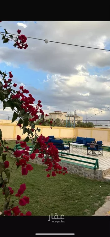 استراحة للإيجار في شارع الشقة, حي الشقة, بريدة صورة 3