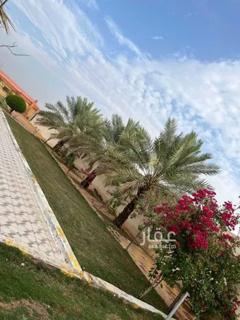 استراحة للإيجار في شارع الشقة, حي الشقة, بريدة صورة 2