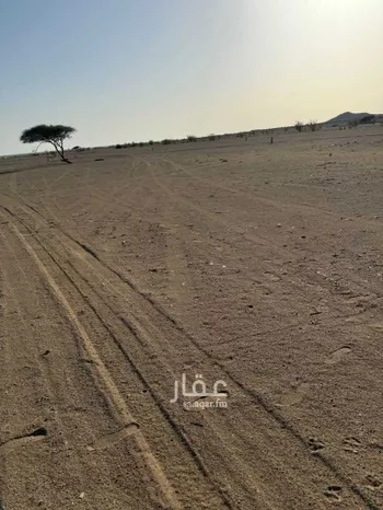 أرض للبيع في شارع الندى, حي الندى, مدينة جدة, منطقة مكة المكرمة صورة 2