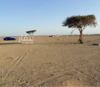 أرض للبيع في شارع الندى, حي الندى, مدينة جدة, منطقة مكة المكرمة صورة 3