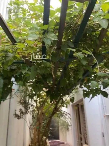 عمارة للإيجار في شارع ابي موسى الاشعري, حي أم العراد, الطائف صورة 5