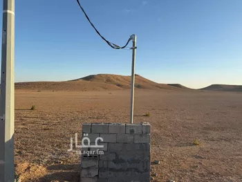 مزرعة للبيع في شارع مزارع وادي وراط, حي مزارع وادي وراط, مدينة مزارع وادي وراط, منطقة الرياض صورة 2