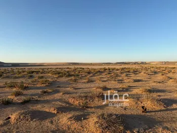 مزرعة للبيع في شارع مزارع وادي وراط, حي مزارع وادي وراط, مدينة مزارع وادي وراط, منطقة الرياض