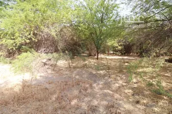 مزرعة للبيع في مدينة مكه المكرمه, منطقة مكة المكرمة