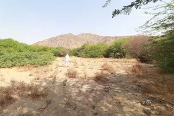 مزرعة للبيع في مدينة مكه المكرمه, منطقة مكة المكرمة صورة 5