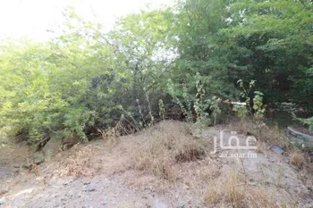 مزرعة للبيع في مدينة مكه المكرمه, منطقة مكة المكرمة صورة 4