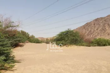 مزرعة للبيع في مدينة مكه المكرمه, منطقة مكة المكرمة صورة 3