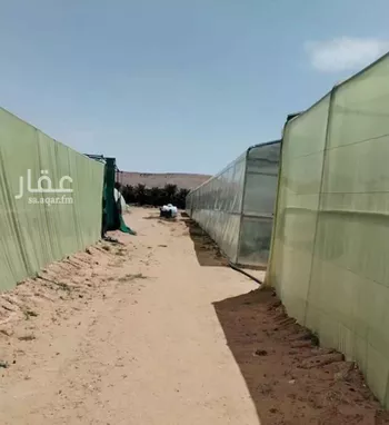 مزرعة للبيع في حي اللغفيه, مدينة اللغفيه, منطقة الرياض صورة 5
