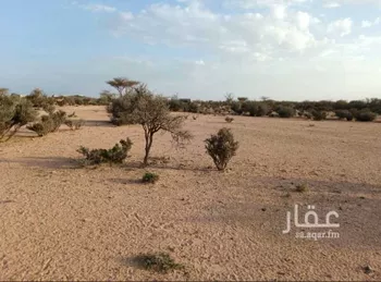 أرض للبيع في الطائف ، الطائف صورة 4