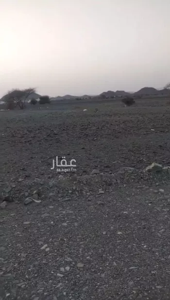 أرض للبيع في شارع هبه الله السامري, حي ابيار الماشي, مدينة المدينه المنوره, منطقة المدينة المنورة صورة 4