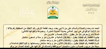 أرض للبيع في شارع محمود بن الحسين الساوي, حي ابيار الماشي, مدينة المدينه المنوره, منطقة المدينة المنورة صورة 3