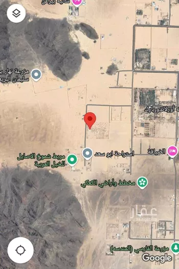 مزرعة للبيع في شارع شارع 20 فضاء, حي المندسة, مدينة المدينه المنوره, منطقة المدينة المنورة صورة 2
