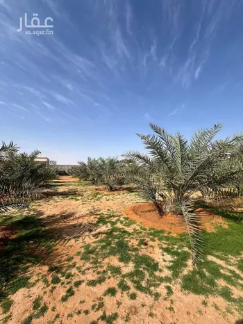 استراحة للبيع في شارع عبدالله ابن رواحة, حي الحزم والبطينه, مدينة الحزم والبطينه, منطقة الرياض صورة 5