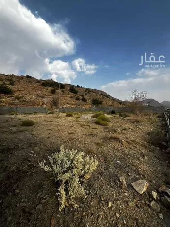 أرض للإيجار في الفرعة ، النماص صورة 2