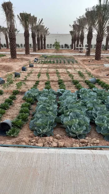 استراحة للبيع في شارع الرميحي, حي العفجه, مدينة الخرج, منطقة الرياض صورة 4