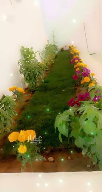 دور للإيجار في شارع ال سليم , حي ظهرة البديعة, مدينة الرياض, منطقة الرياض صورة 2