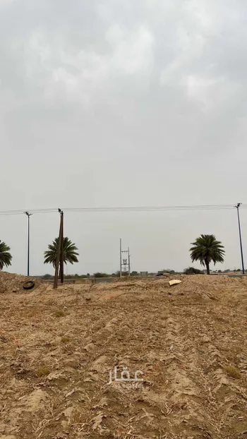 أرض للإيجار في شارع شارع بيش صبيا العام , حي ابو القعايد, مدينة ابو القعايد, منطقة جازان صورة 5