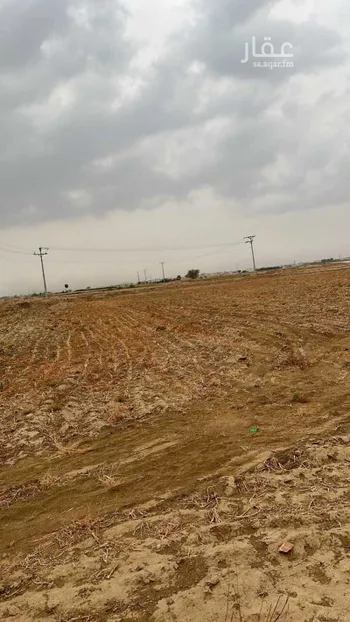 أرض للإيجار في شارع شارع بيش صبيا العام , حي ابو القعايد, مدينة ابو القعايد, منطقة جازان صورة 3