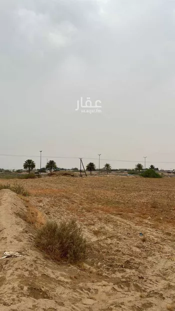 أرض للإيجار في شارع شارع بيش صبيا العام , حي ابو القعايد, مدينة ابو القعايد, منطقة جازان صورة 4