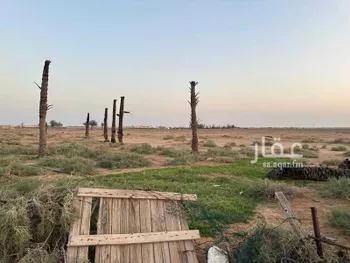 مزرعة للبيع في حي القرين, مدينة القرين, منطقة القصيم صورة 4