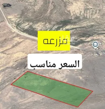 مزرعة للبيع في حي العموده الشماليه والجنوبيه, مدينة العموده الشماليه والجنوبيه, منطقة القصيم