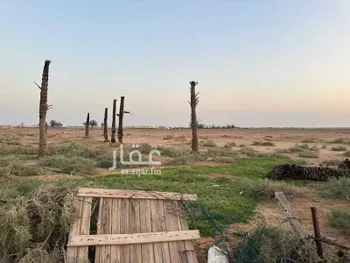 مزرعة للبيع في حي القرين, مدينة القرين, منطقة القصيم صورة 2