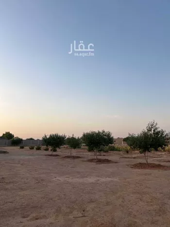 مزرعة للبيع في شارع شارع, حي مزارع قصور النقعه, مدينة مزارع قصور النقعه, منطقة الرياض صورة 3