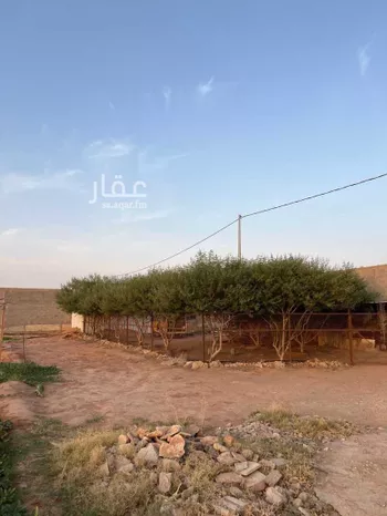 مزرعة للبيع في شارع شارع, حي مزارع قصور النقعه, مدينة مزارع قصور النقعه, منطقة الرياض
