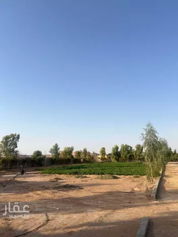 أرض للبيع في شارع شارع, حي مزارع قصور النقعه, مدينة مزارع قصور النقعه, منطقة الرياض صورة 2