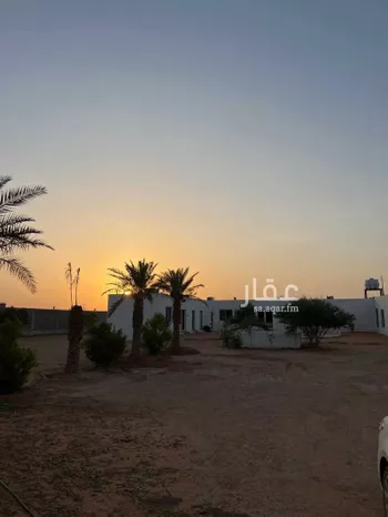 مزرعة للبيع في شارع شارع, حي مزارع قصور النقعه, مدينة مزارع قصور النقعه, منطقة الرياض صورة 5