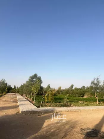 أرض للبيع في شارع شارع, حي مزارع قصور النقعه, مدينة مزارع قصور النقعه, منطقة الرياض صورة 3