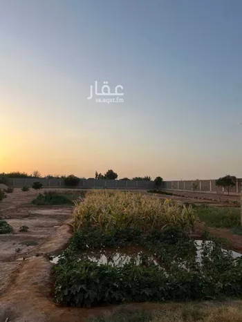 مزرعة للبيع في شارع شارع, حي مزارع قصور النقعه, مدينة مزارع قصور النقعه, منطقة الرياض صورة 2