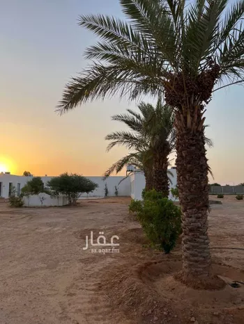 مزرعة للبيع في شارع شارع, حي مزارع قصور النقعه, مدينة مزارع قصور النقعه, منطقة الرياض صورة 4
