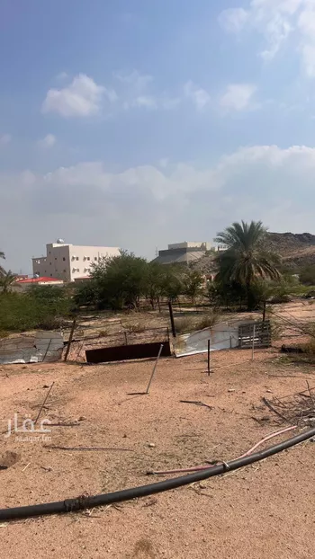 أرض للبيع في شارع شارع, حي اليمامة, مدينة مكه المكرمه, منطقة مكة المكرمة صورة 2