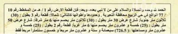 أرض للبيع في شارع الامير بندر بن عبدالعزيز, حي الربيع, مدينة النعيريه, المنطقة الشرقية صورة 2